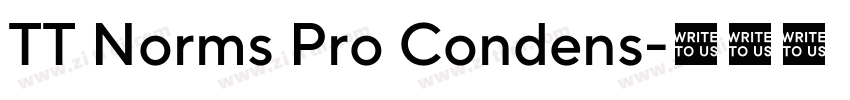 TT Norms Pro Condens字体转换 TT Norms Pro Condens字体转换